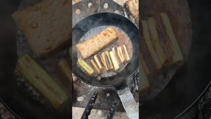 🐟マグロのねぎま⏩レシピはコメント欄#キャンプ飯 #camping #outdoorcooking #asmr