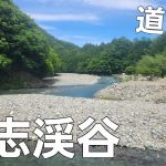 【山梨県】雨のぼっちキャンプ【道志渓谷キャンプ場】【ソロキャンプ】