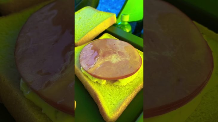 おすすめ無料キャンプ場#youtubeshorts #shortvideo #shorts #travel #trending #viral #camping #free #sea #sunrise