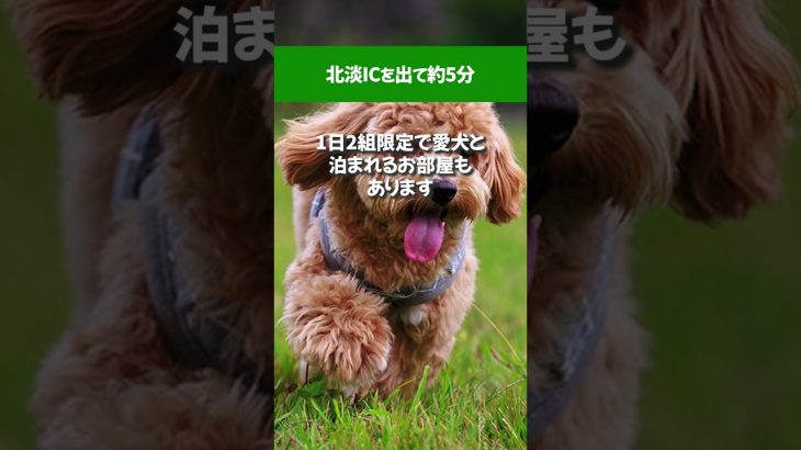 阪神高速で行く！おすすめグランピング施設3選！