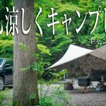 【買ってよかった】夏場の寝床は涼しく!!おすすめキャンプ道具🔥安心ドラレコ#422