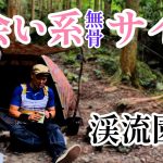 【渓流園地】キャンプブームも落ち着いた静かな森で83チャンネルは密かにモテ期到来しました。
