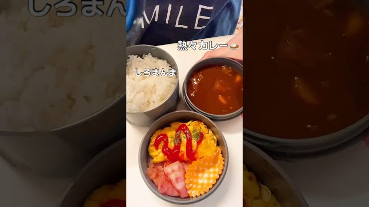 チーズオムレツカレー弁当 #働く主婦 #bentolunch #cookingasmr #お弁当 #cooking #japanesecuisine #vlog #料理
