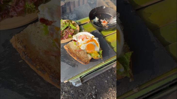 ベーコンたまごチーズサンド#サンドウィッチ#shorts#sandwich #cheese