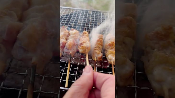備長炭で焼いた『焼き鳥』が美味すぎた#キャンプ飯 #キャンプ料理 #キャンプレシピ