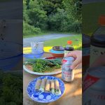 畑でとれた紫蘇の葉をチーズと生ハムでくるんで食べました。