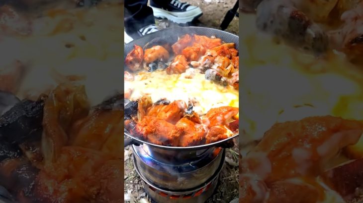 【キャンプ飯】チーズタッカルビ作ってみた🧀