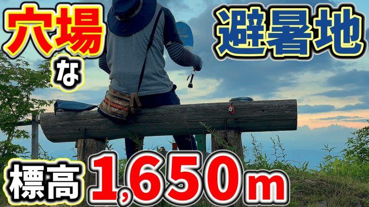 【ソロキャンプ】穴場だけど熊が気になる！標高1,650ｍのおすすめ高原キャンプ。宮田高原キャンプ場「前編」