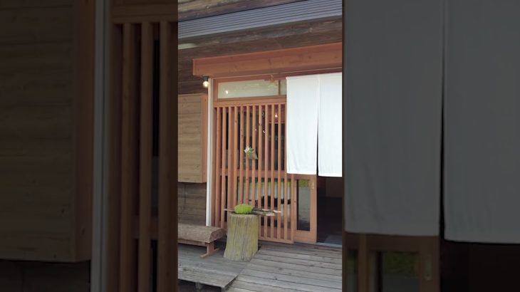 長野県のおすすめ蕎麦店186【002 手打ちそば 岳（長野市戸隠）】