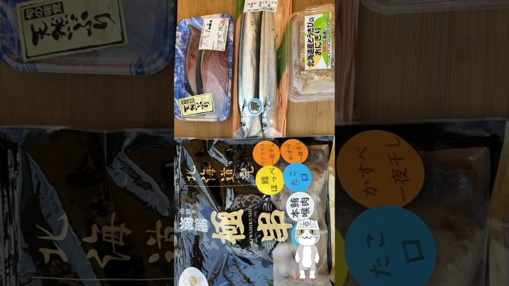 もげちゅん放送局のキャンプ場紹介2024 #05 石狩市「えいときゃんぷ場」編