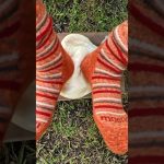 キャンプで作る鶏天かき揚げうどん！ #shorts #camping #キャンプ