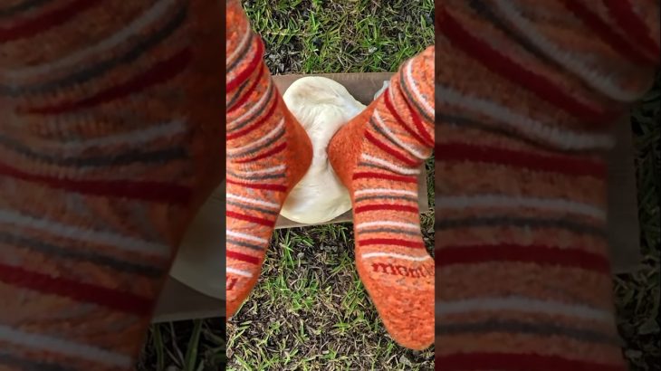 キャンプで作る鶏天かき揚げうどん！ #shorts #camping #キャンプ