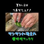 キャンプ場で香住鶴の蟹味噌キュウリで香住鶴の日本酒をキメる！#香住鶴##日本酒#おすすめ#shorts #shortvideo #ランプの魔人