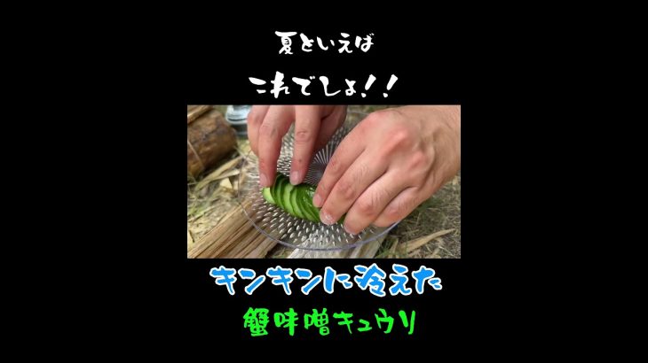 キャンプ場で香住鶴の蟹味噌キュウリで香住鶴の日本酒をキメる！#香住鶴##日本酒#おすすめ#shorts #shortvideo #ランプの魔人
