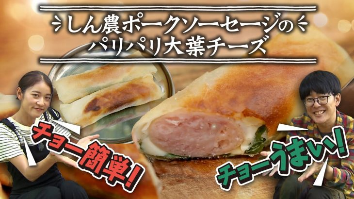 【簡単レシピ】包んで一本勝ち！春巻き＋とろりチーズ＋大葉＋ポーク