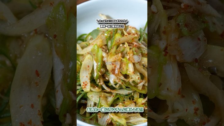 副菜一品!!箸休めに!!さっぱりピリ辛ねぎサラダ!!/#shorts#料理#cooking#節約レシピ