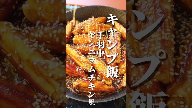 焼いてタレを和えるだけの簡単おつまみキャンプ飯！