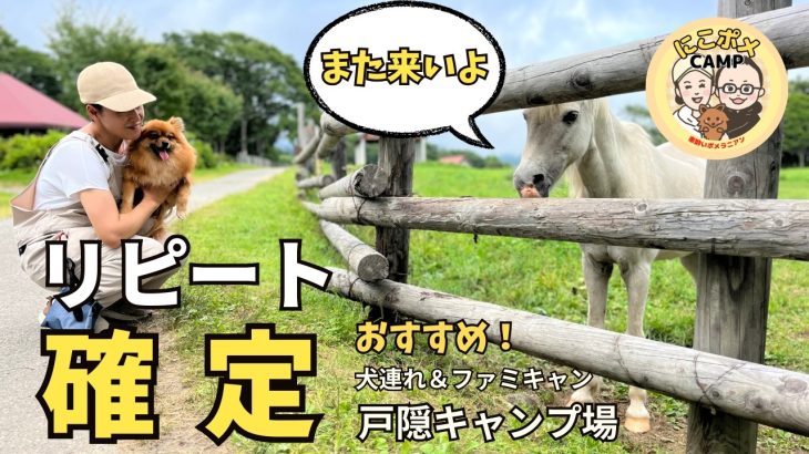 【犬連れ夫婦キャンプ】長野には真夏の犬連れ、ファミキャンにもとってもおすすめキャンプ場がありました
