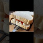 チーズが解けなかったやつ