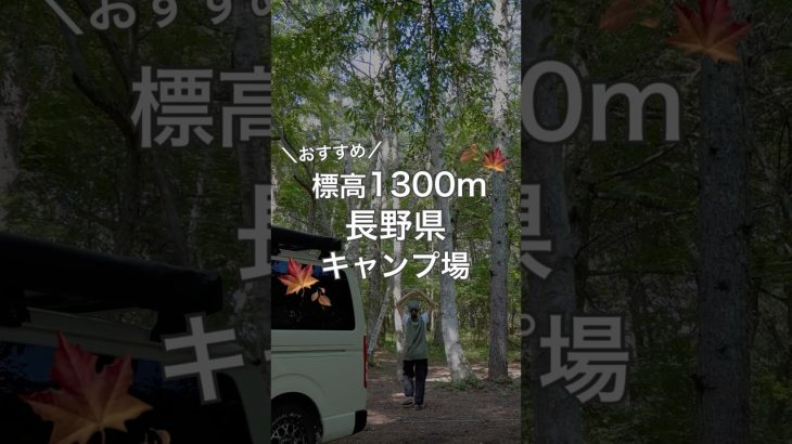 秋キャンプにおすすめ！標高1,300mの長野県キャンプ場🏕️ #長野県キャンプ場 #車中泊 #姫木平ホワイトバーチキャンプフィールド