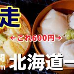 【北海道旅行7】おすすめ北海道グルメ！見たことのない極厚生ホタテ丼で贅沢キャンプ飯｜網走,女満別野営場,無料キャンプ場｜おすすめ観光スポット｜摩周湖,屈斜路湖,砂湯,コタン温泉,観光,車中泊,グルメ