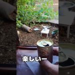 庭キャンプ やり方 part３ #shorts