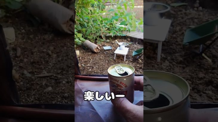 庭キャンプ やり方 part３ #shorts