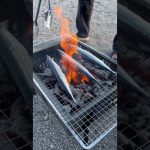 秋刀魚ってどうやって綺麗に焼くん？#バーベキュー#焼き魚#焼き方#秋刀魚#サンマ