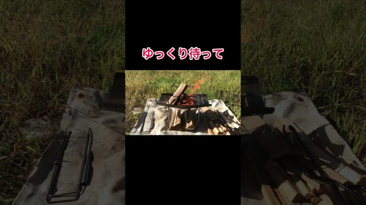 カーサイドタープで焚き火で焼き鳥　#おすすめ #ハイゼットカーゴ #キャンプ