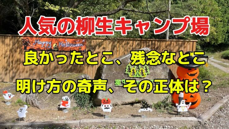 【柳生キャンプ場】人気のキャンプ場、良かったとこ、残念なとこ。じじいの独断と偏見。