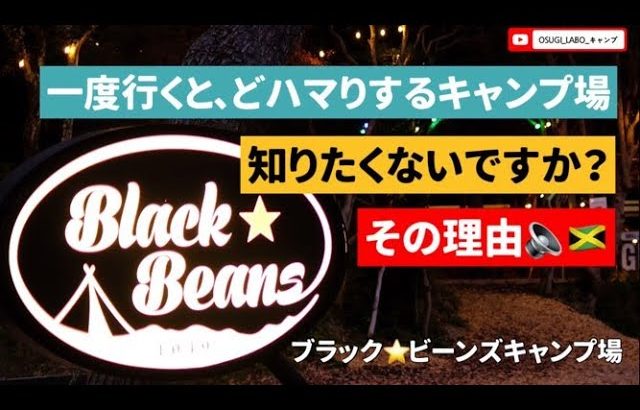 関西のキャンプ場【Black★Beans】をご紹介させて頂きます。　 #キャンプ #キャンプ場 #ブラックビーンズ