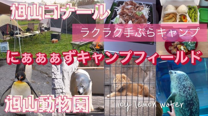 「旭山動物園」の激近キャンプ場【旭山コナール Nyaaaz Camp Field】で「手ぶらキャンプ」を楽しんでみた／北海道旭川市【エブリイワゴン＆ノア】 [Auto. translation]