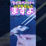 ライスペーパーで簡単激ウマチョコバナナ！ #shorts #キャンプ #スイーツ #ライスペーパー #レシピ  #アウトドアファミリー