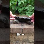 固形燃料でツマミつくる