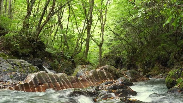 【国の天然記念物】蛇石キャンプ場