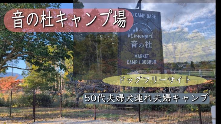 音の杜キャンプ場　2024年7月オープンしたてのキャンプ場　とても綺麗なキャンプ場　景色もよく最高でした ドッグフリーサイトもあるので犬連れキャンプされる方にもおすすめです