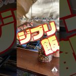 キャンプ場の朝ごはん【ジブリ飯】