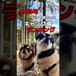 2024年！行って良かったキャンプ場ランキング！ #アウトドア #おすすめキャンプ場