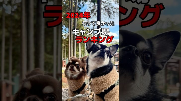 2024年！行って良かったキャンプ場ランキング！ #アウトドア #おすすめキャンプ場