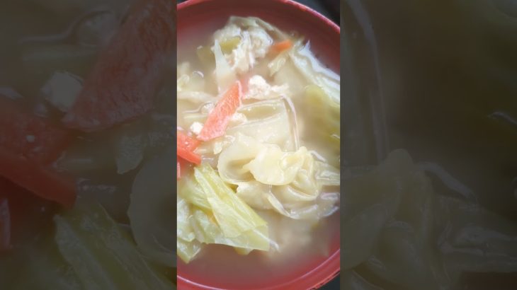 #料理 #food #レシピ #ラーメン #キャンプ飯 #project #music #cooking #飯テロ #sega #shorts#リミックス#リミックスshorts