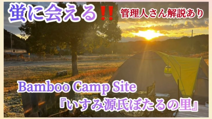【千葉県いすみ市】ホタルに会えるキャンプ場安くて設備も管理人さんも良い感じのおすすめオートサイト‼️薪使い放題で自由に使えるフリーサイトおすすめです♪#焚き火
