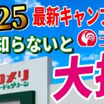 【緊急速報】全キャンパーに知って欲しい ホームセンター 最新キャンプ道具総集編！コメリで絶対買いたい 安くて本当に使えるおすすめギア決定版！【NaturalSeason 2025新商品体験会】
