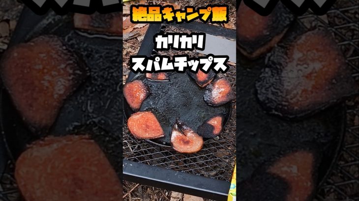 【キャンプ飯】スパムで作るおつまみに最高なカリカリチップス #キャンプ飯 #ソロキャンプ #料理 #shorts