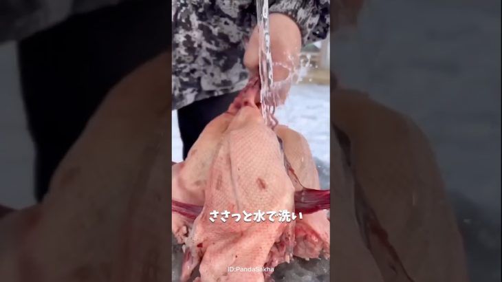 極寒地のロシアで鴨を丸ごと使ったうどんを作ってみた #ロシア #キャンプ #ウクライナ #アウトドア #料理  #ホワサバ