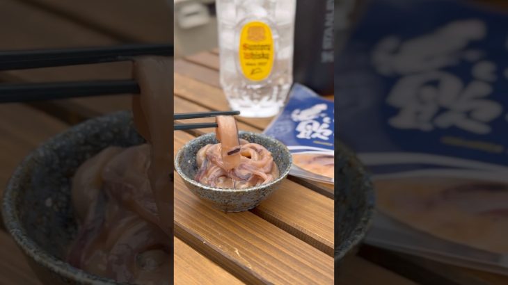 炙るが正義！お酒の定番おつまみでアレンジレシピ【塩辛海苔バターうどん】　#キャンプ飯 #アレンジレシピ #簡単レシピ