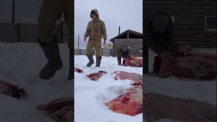 極寒地ロシアで牛のテールスープを作ってみた #ロシア #キャンプ #ウクライナ #アウトドア #料理  #ホワサバ