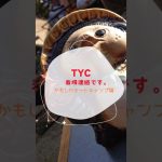 【おすすめ】かもしかオートキャンプ場@滋賀　TYC #shorts #camping