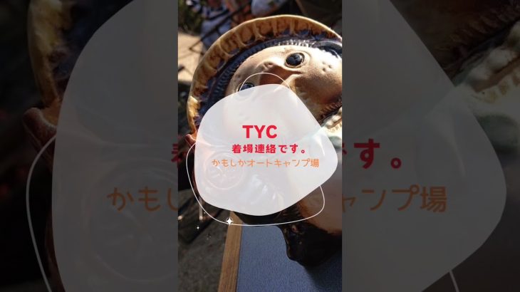 【おすすめ】かもしかオートキャンプ場@滋賀　TYC #shorts #camping