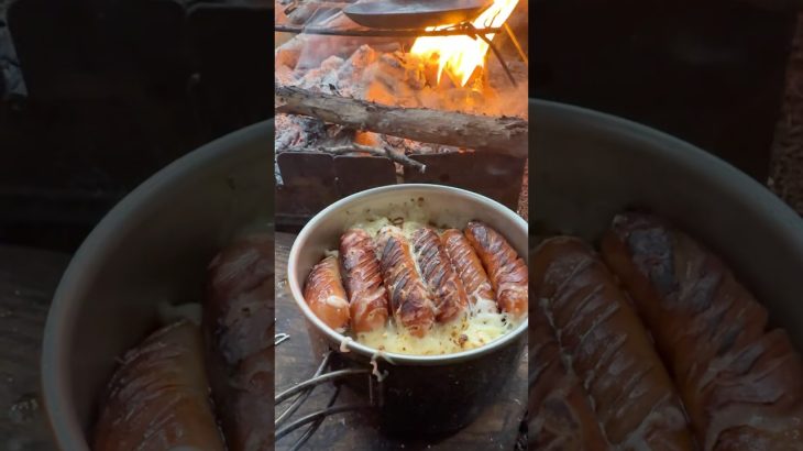 【キャンプ飯】炙りチーズシャウ丼#キャンプ#ソロキャンプ #shorts