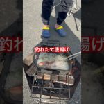 釣りキャンプでキジハタの丸揚げ#唐揚げ#魚#釣り#釣りキャンプ#デブ活